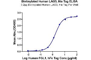 Immobilized Biotinylated Human LAG3, His Tag at 2 μg/mL (100 μL/well) on the plate. (LAG3 Protein (AA 23-434) (His-Avi Tag,Biotin))