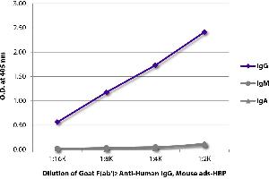 ELISA plate was coated with purified human IgG, IgM, and IgA. (Ziege anti-Human IgG Antikörper (HRP) - Preadsorbed)