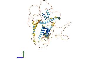 Protein Structure (PS) image for Ligand Dependent Nuclear Receptor Corepressor-Like (LCORL) (AA 1-600) protein (His tag) (ABIN7557134)