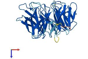 NUP37 Protein (AA 1-326) (His tag)