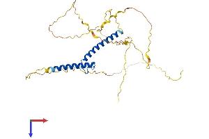 TAL1 Protein (AA 1-329) (His tag)