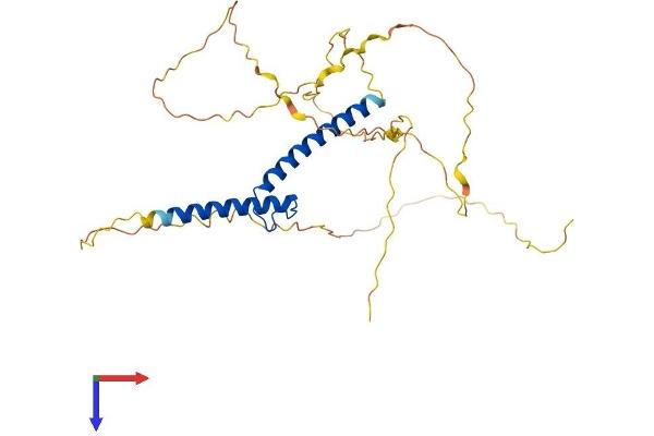 TAL1 Protein (AA 1-329) (His tag)