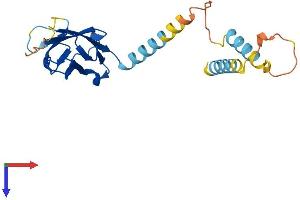 MOSPD1 Protein (AA 1-213) (His tag)