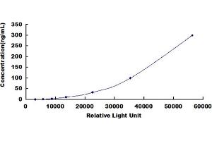 ELISA image for Plasminogen (PLG) CLIA Kit (ABIN492276)