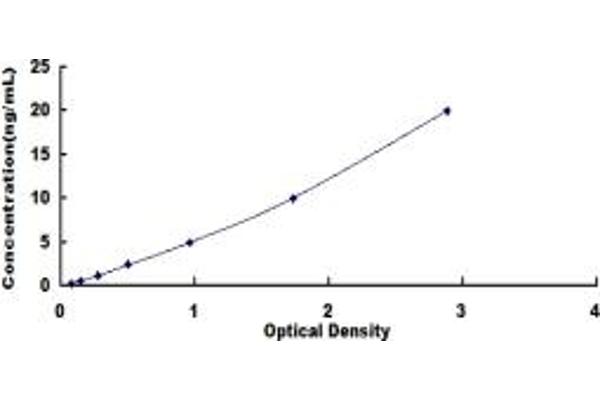 ITGB1 ELISA Kit