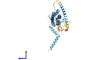 Protein Structure (PS) image for Secretory Carrier Membrane Protein 3 (SCAMP3) (AA 1-347) protein (His tag) (ABIN7551696)