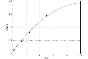 Cadherin 13 (CDH13) ELISA Kit