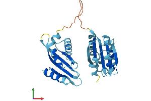 Protein Structure (PS) image for RWD Domain Containing 3 (RWDD3) (AA 1-267) protein (His tag) (ABIN7559964)