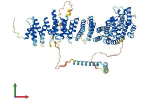 Protein Structure (PS) image for EFR3 Homolog B (EFR3B) (AA 1-817) protein (His tag) (ABIN7564167)