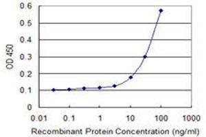 Detection limit for recombinant GST tagged DNAJC10 is 3 ng/ml as a capture antibody. (DNAJC10 Antikörper  (AA 688-793))