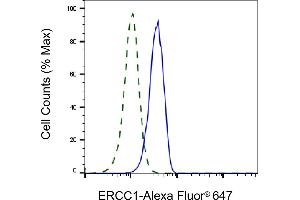 Validation of ERCC1 knockdown using flow cytometry. (Rekombinanter ERCC1 Antikörper)