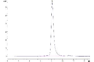 Size-exclusion chromatography-High Pressure Liquid Chromatography (SEC-HPLC) image for Phospholipase D4 (PLD4) (AA 52-506) protein (His tag) (ABIN7275464)
