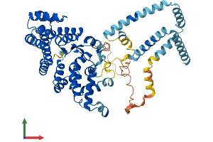 AlphaFold protein structure predicition of Mouse Recombinant St7l Protein, UniprotID Q8K4P7