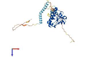 RG9MTD2 Protein (AA 1-339) (His tag)
