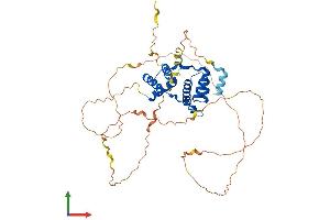 AlphaFold protein structure predicition of Human Recombinant DUX4L2 Protein, UniprotID P0CJ85