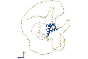 Protein Structure (PS) image for Orthodenticle Homeobox 1 (OTX1) (AA 1-354) protein (His tag) (ABIN7550541)