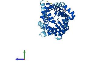 AlphaFold protein structure predicition of Mouse Recombinant Slc25a31 Protein, UniprotID Q3V132