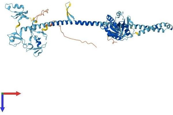 TRIM23 Protein (AA 1-574) (His tag)