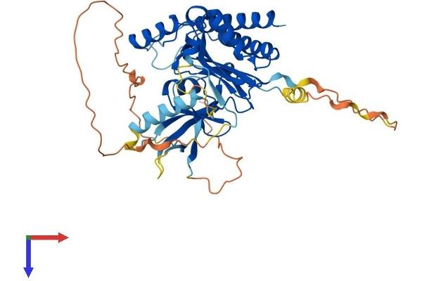 IP6K1 Protein (AA 1-433) (His tag)