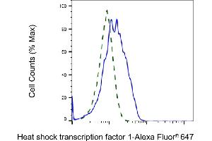 Validation of Heat shock transcription factor 1 knockdown using flow cytometry.