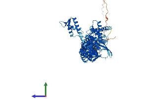 Protein Structure (PS) image for Cullin 4A (CUL4A) (AA 1-759) protein (His tag) (ABIN7563662)