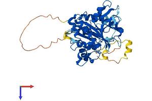 ATG4B Protein (AA 1-393) (His tag)