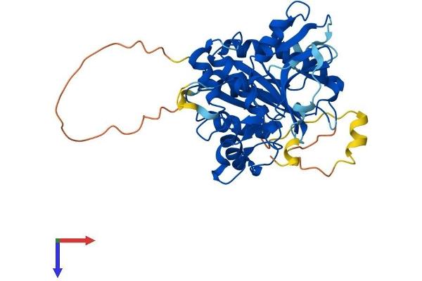 ATG4B Protein (AA 1-393) (His tag)