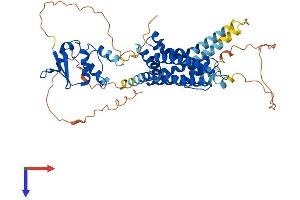 Kv1.6/KCNA6 Protein (AA 1-529) (His tag)