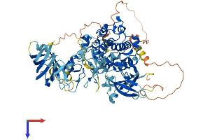 PKC epsilon Protein (AA 1-737) (His tag)