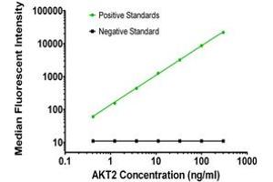 Luminex Assay (LMNX) image for anti-V-Akt Murine Thymoma Viral Oncogene Homolog 2 (AKT2) antibody (ABIN2715855) (AKT2 Antikörper)