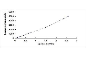 Typical standard curve (DKK2 ELISA Kit)