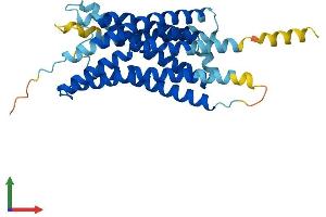 GPR55 Protein (AA 1-327) (His tag)
