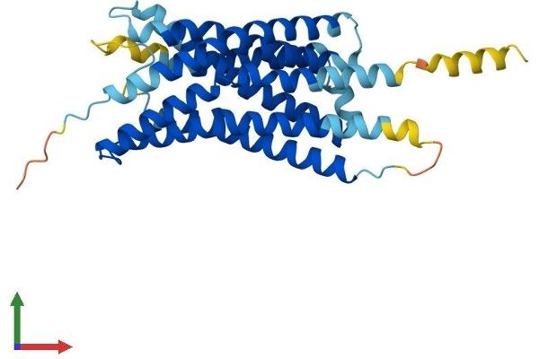 GPR55 Protein (AA 1-327) (His tag)