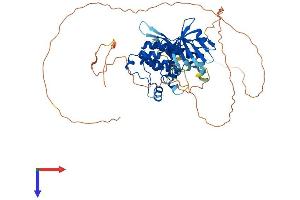 AlphaFold protein structure predicition of Human Recombinant STK33 Protein, UniprotID Q9BYT3 (STK33 Protein (AA 1-514) (His tag))