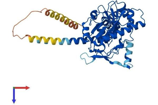 DGAT2 Protein (AA 1-388) (His tag)