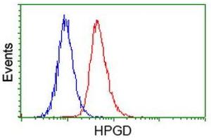 Flow Cytometry (FACS) image for anti-Hydroxyprostaglandin Dehydrogenase 15-(NAD) (HPGD) antibody (ABIN1496361) (HPGD Antikörper)