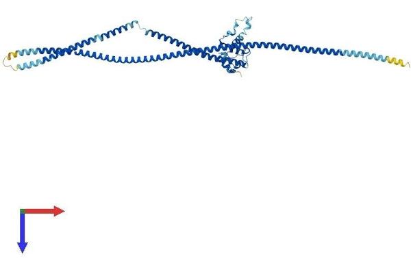 NUF2 Protein (AA 1-463) (His tag)