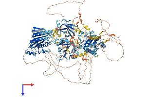 PITPNM2 Protein (AA 1-1349) (His tag)