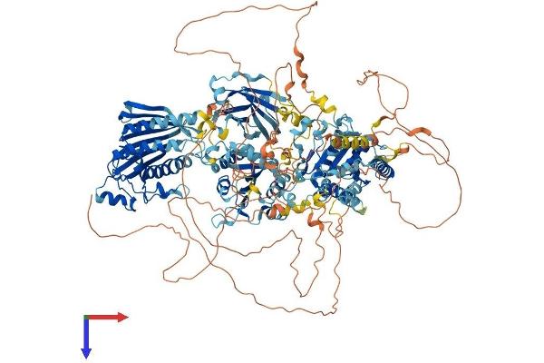 PITPNM2 Protein (AA 1-1349) (His tag)