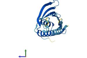 Protein Structure (PS) image for PRELI Domain Containing 2 (PRELID2) (AA 1-177) protein (His tag) (ABIN7556946)