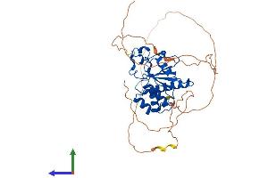 Protein Structure (PS) image for Dual Specificity Phosphatase 11 (RNA/RNP Complex 1-Interacting) (DUSP11) (AA 1-330) protein (His tag) (ABIN7547278)