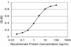 Detection limit for recombinant GST tagged ARHGEF11 is approximately 0. (ARHGEF11 Antikörper  (AA 651-750))