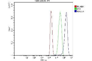 Flow Cytometry analysis of HEPA1-6 cells using anti-RAB7/RAB7A antibody (ABIN7600597).