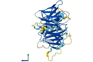 Protein Structure (PS) image for WD Repeat Domain 73 (WDR73) (AA 1-378) protein (His tag) (ABIN7545141)