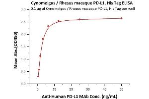 Immobilized Cynomolgus / Rhesus macaque PD-L1, His Tag (ABIN2181634,ABIN2181633) at 1 μg/mL (100 μL/well) can bind A PD-L1 MAb with a linear range of 0.