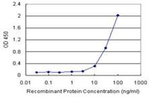 Sandwich ELISA detection sensitivity ranging from 10 ng/mL to 100 ng/mL.