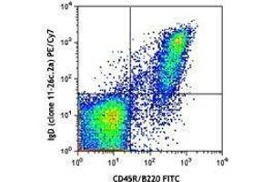 Flow Cytometry (FACS) image for Rat anti-Mouse IgD antibody (PE-Cy7) (ABIN2667030)