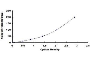 Typical standard curve