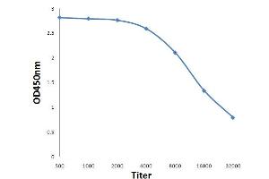 ELISA image for anti-ATP-Binding Cassette, Sub-Family C (CFTR/MRP), Member 4 (ABCC4) (AA 751-880) antibody (ABIN686332)