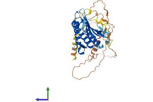 Protein Structure (PS) image for HORMA Domain Containing 1 (HORMAD1) (AA 1-392) protein (His tag) (ABIN7564987)